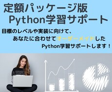 定額パッケージ版✅Python学習をサポートします 指定の期間、目標や実装に向け、Python学習を助けます❗️