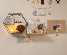 元動物看護師が旅立ったあの子のお話を聞きます イメージ1