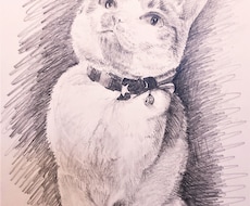 ペットの似顔絵スケッチ作成します イメージ1