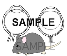 サイエンス系イラスト作成します 学会発表のスライドや教材向けのFig作りにお困りの方へ！