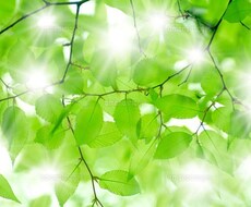 まずはお気軽に^ - ^何でもお話お聞き致します イメージ1