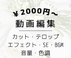 Youtube動画制作代行いたします イメージ1