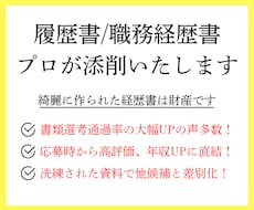 履歴書・職務経歴書をプロが添削・作成します 書類通過_内定獲得率UP！転職の壁をプロエージェントが支援！