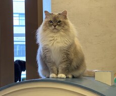 悩み相談愚痴聞きます イメージ1