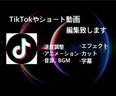 TikTokの動画を高品質でお届けします イメージ1