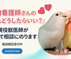 動物看護師の悩み全般、獣医師が電話で相談にのります イメージ1