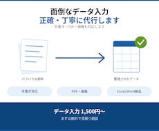 手書き・PDFをデータ入力・エクセル化します 入力ミスは無料で修正いたします