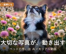 愛犬愛猫の写真を動く想い出ムービーにします あの子がもう一度動き出す。追悼にも、記念日の贈り物にも。
