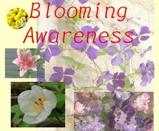 貴方を象徴する花をリサーチします 詩的に表現すれば、、、花の精の力で魅力を高めることです