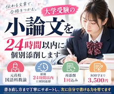 大学受験の小論文を24時間以内に個別添削します 元高校国語科教諭が、伝わる書き方を丁寧にサポート