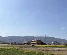 １ヶ月間あなただけに生活習慣コーチングします イメージ1