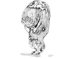 合成DM、カットイラスト描きますます ボタニカルテイスト、ファンタジー系を描くのがとても得意です。