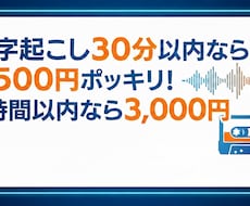 格安で動画の文字起こし（ケバ取り）をします イメージ1
