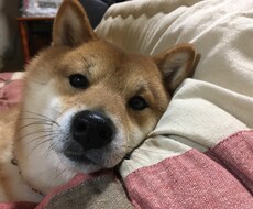 なんでも聴きます イメージ1