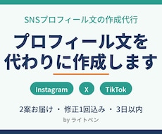 SNSプロフィール文を魅力的に作成します イメージ1