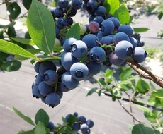 誰にも言えないことありませんか？人生相談に乗ります イメージ1