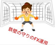 忙しいサラリーマン向けです！鉄壁のFX運用教えます 不安定な時代だからこそ守りを固めた安全運用で稼ごう