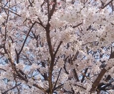 ふと、聴いてほしい話したい!そのお気持ちに応えます