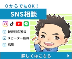 あなたのビジネスに最適なSNSの活用法を解説します どのSNSを活用してどう運用していくべきかをアドバイスします