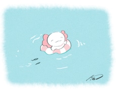 ゆるくてかわいい生き物のイラストを描きます イメージ1