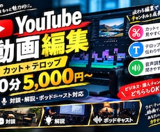 YouTube動画のカット・テロップ編集をします イメージ1