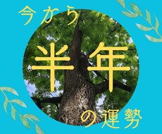 半年間の運勢を鑑定します イメージ1