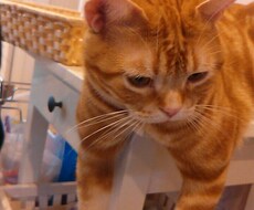 やる気が出ない やりたいことが見つからない人 僕が道しるべを出すお手伝いをします。
