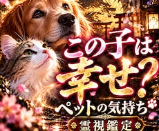 ペットの気持ち｜あの子があなたに伝える真実を視ます 愛するペットの本当の気持ち・家族への想い・今望んでいること