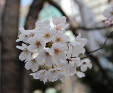 お悩み相談します 人間関係や愚痴などお伺いします。(^｡^)