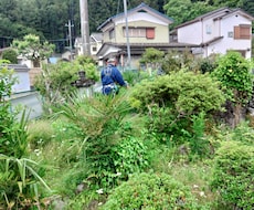 高所特殊作業から空き家のメンテナンスまで承ります 個人のお客様から企業様まで、幅広いご要望にお応えします！