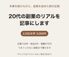 20代・本業ありで副業を始めた記録を書きます イメージ1