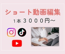 丁寧に動画編集いたします イメージ1