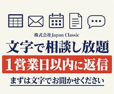 文字で相談し放題、1営業日以内に返信します 業務の仕組み化・AI導入・越境ECを、経営者の言葉で
