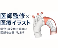 図解×医師監修 学会・論文イラスト制作します 学会・論文に対応可、正確で伝わる図解