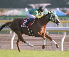 中央競馬厳選の1レースの予想を提供します