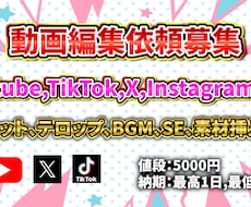 Youtube,TikTok,Xの動画編集します イメージ1