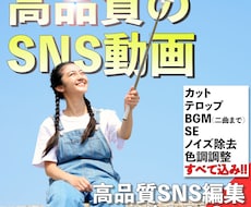 各種SNS向け動画を高品質で作成します スマホから有名インフルエンザ―のようなバズる動画へ