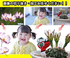 無料アプリでは難しい、画像加工や写真編集をします 背景の白抜きで合成写真やコラージュをワンランク上に仕上げます