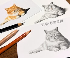 大切なペットとの思い出を鉛筆・色鉛筆画にします 大切な家族との幸せな時間を、温もりある作品として残します