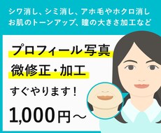 プロフィール写真の微修正・加工を行います イメージ1
