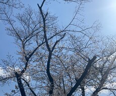 本音でお話下さいね♡心が軽くなるお手伝いをします イメージ1