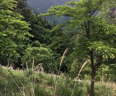 楽しく仕事をする方法教えます 日々の辛い仕事に対する気持ちを変えてみせます！