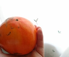 お悩み、愚痴聞きます イメージ1