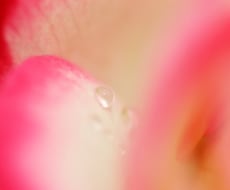 男性専用。こんな時って？女性視点のお話を致します イメージ1