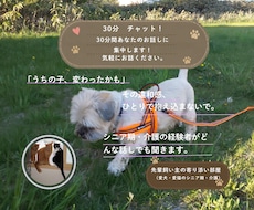 愛犬・愛猫を看取った経験者がシニア期の不安聴きます イメージ1