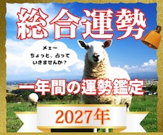 2027年の運勢を総合的に読み解きます イメージ1