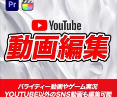 YouTubeやSNSの動画編集をします イメージ1