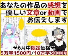貴方の作品の感想を文章or動画で優しくお伝えします 6月中限定価格！未完成もプロットもOK！貴方を応援します!