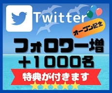 Twitterのフォロワー１０００人増やします オープン記念！！販売数30人まで＋５０％増量サービス中