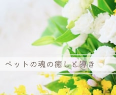 ペットの魂を大天使アリエルが癒し光へ導きます イメージ1